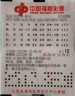 体育彩票因 体育彩票因